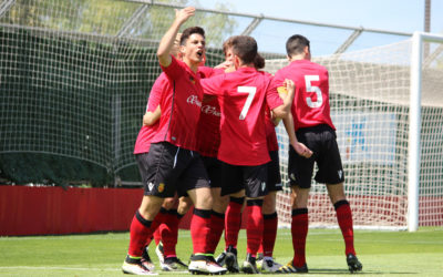 IMG_9540 IMG_9540
